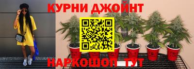 крисы Гусиноозёрск