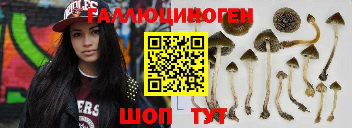 Псилоцибиновые грибы ЛСД Бутурлиновка